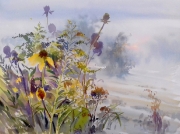 4 jesienne rudbekie 41x31 cm