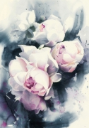 Peony 76x56