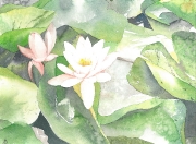 01 La délicatesse, 30x40, Joanna Markowska