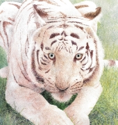 07 Avant le repas, 50x65, Joanna Markowska