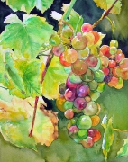 Winogrona 24x32 cm