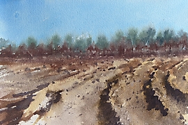 PXL_20230321_141247006-2